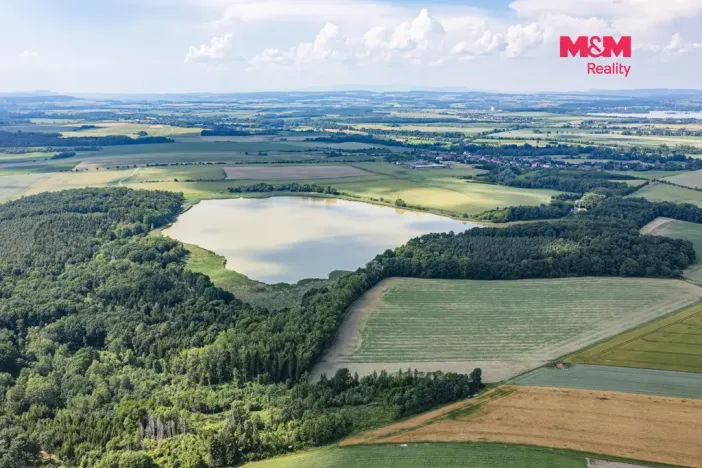 Prodej lesa, Bohuslavice, 11971 m2