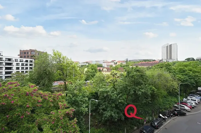 Pronájem bytu 1+kk, Praha - Vinohrady, Fričova, 31 m2