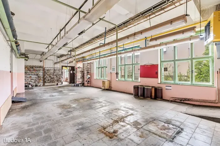 Pronájem komerční nemovitosti, Děčín, Rudolfova, 5199 m2