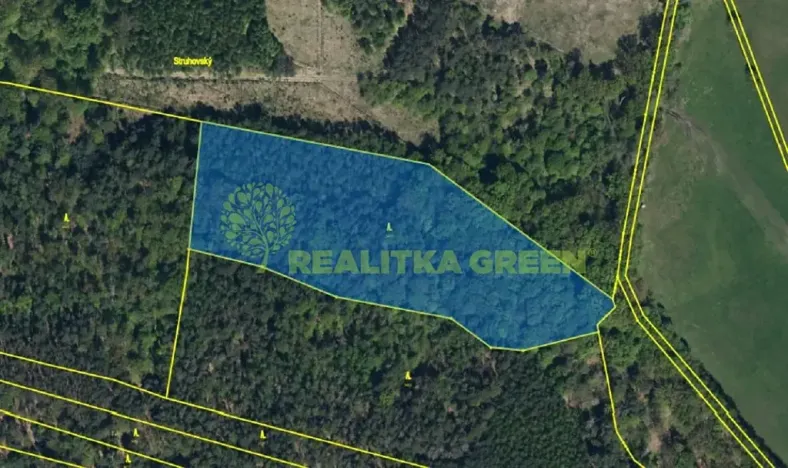 Prodej lesa, Sopřeč, 20160 m2