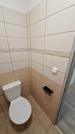 Pronájem bytu 3+kk, Teplice, Emilie Dvořákové, 65 m2