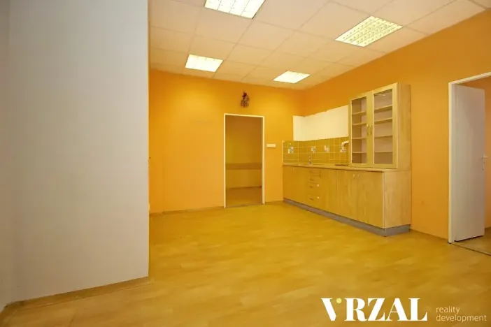 Pronájem ordinace, Plzeň, Francouzská třída, 80 m2