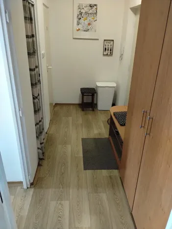 Pronájem bytu 1+1, Slaný, Plynárenská, 35 m2