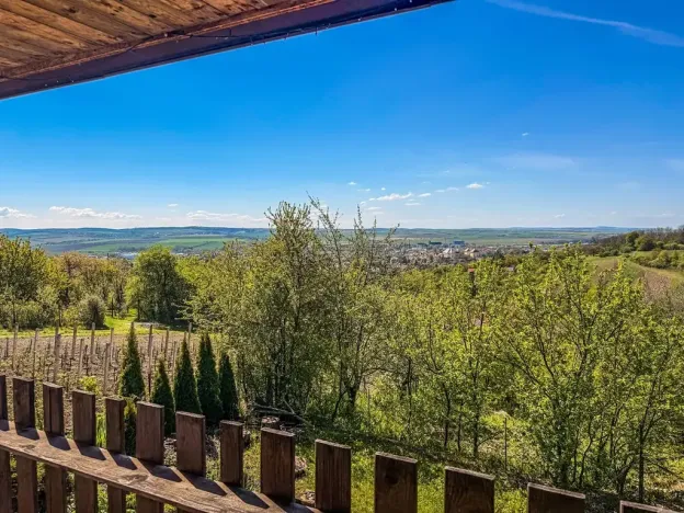 Prodej zahrady, Slavkov u Brna, Palackého náměstí, 793 m2