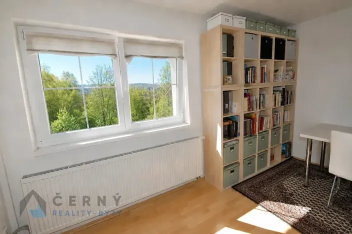 Prodej bytu 1+kk, Liberec, U Sadu, 29 m2