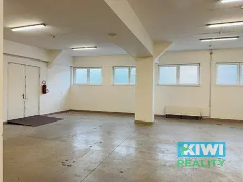 Pronájem skladu, Ostrava, Pavlovova, 110 m2