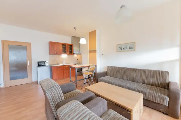 Pronájem bytu 1+kk, Olomouc, Na Tabulovém vrchu, 42 m2