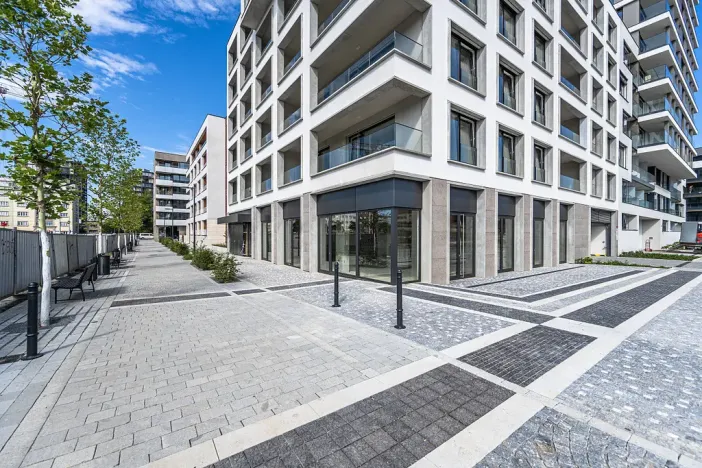 Pronájem bytu 3+kk, Praha - Žižkov, Malešická, 78 m2