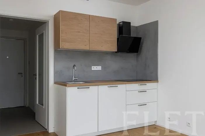 Pronájem bytu 1+kk, Praha - Strašnice, Ramonova, 27 m2