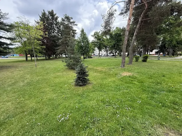 Prodej bytu 3+1, Hradec Králové, třída SNP, 70 m2