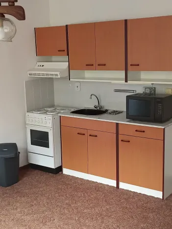 Pronájem bytu 1+kk, Děčín, Dvořákova, 44 m2
