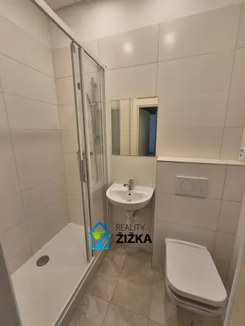 Pronájem bytu 1+1, Brno, Burešova, 47 m2