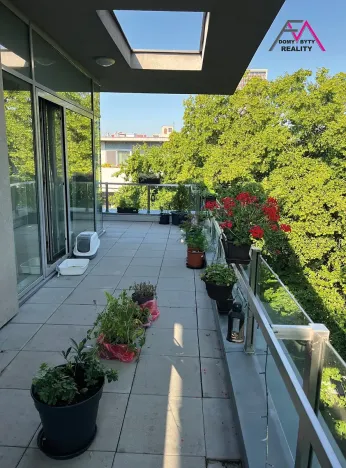 Pronájem bytu 4+kk, Ostrava, Sadová, 122 m2