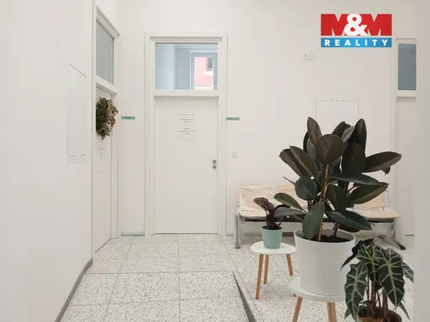 Prodej obchodního prostoru, Opava - Město, Masarykova třída, 40 m2