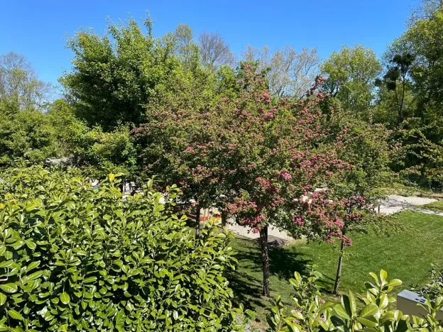 Prodej bytu 3+kk, Hlohovec, K zámečku, 79 m2