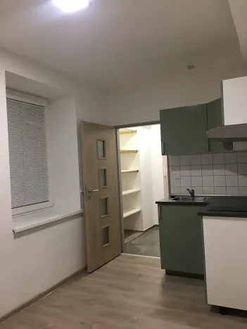 Pronájem bytu 1+kk, Brno, Křenová, 20 m2