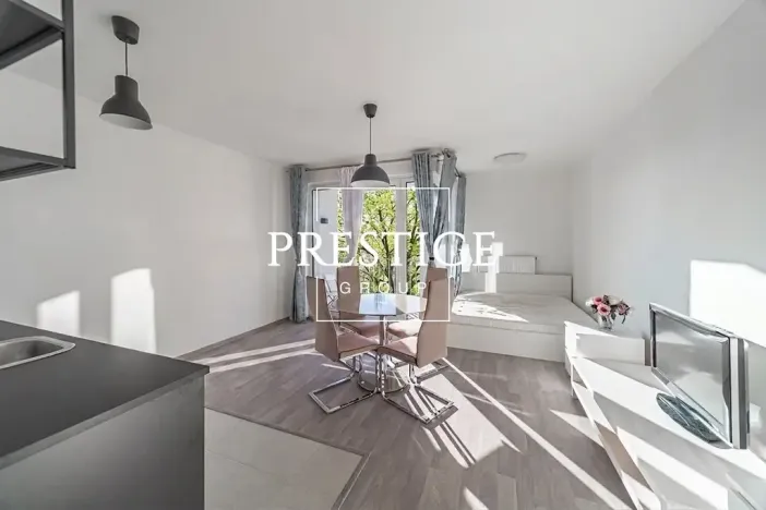Pronájem bytu 1+kk, Praha - Žižkov, Olgy Havlové, 40 m2
