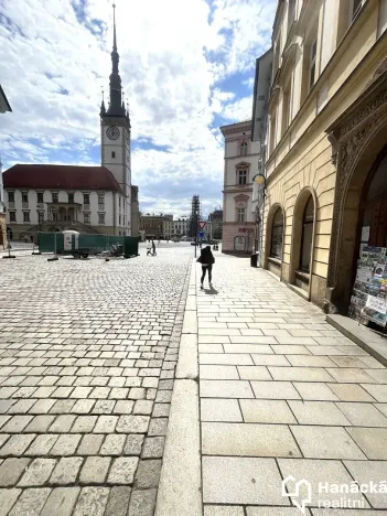 Pronájem kanceláře, Olomouc, Ostružnická, 273 m2