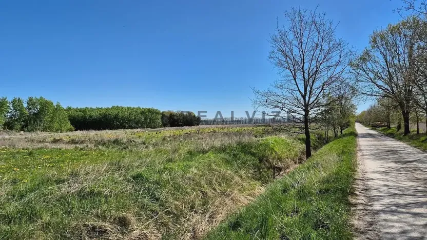 Prodej pozemku pro bydlení, Čejkovice, 916 m2