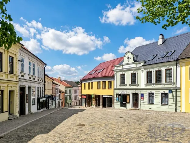 Prodej obchodního prostoru, Třebíč, Hasskova, 258 m2