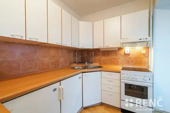 Pronájem bytu 4+kk, Brno, Zeyerova, 167 m2