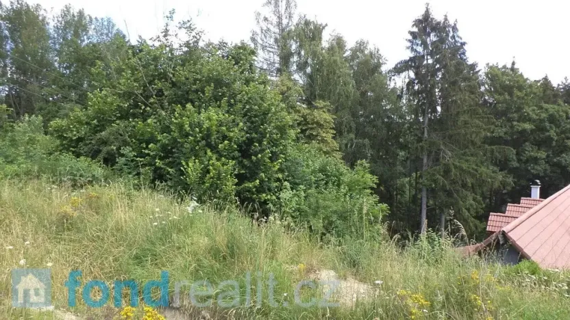 Prodej pozemku, Nové Hrady, 766 m2