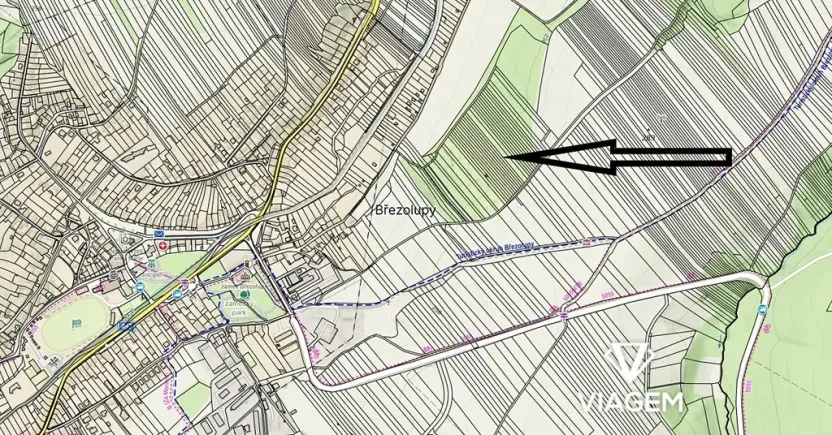 Prodej zahrady, Březolupy, 1322 m2
