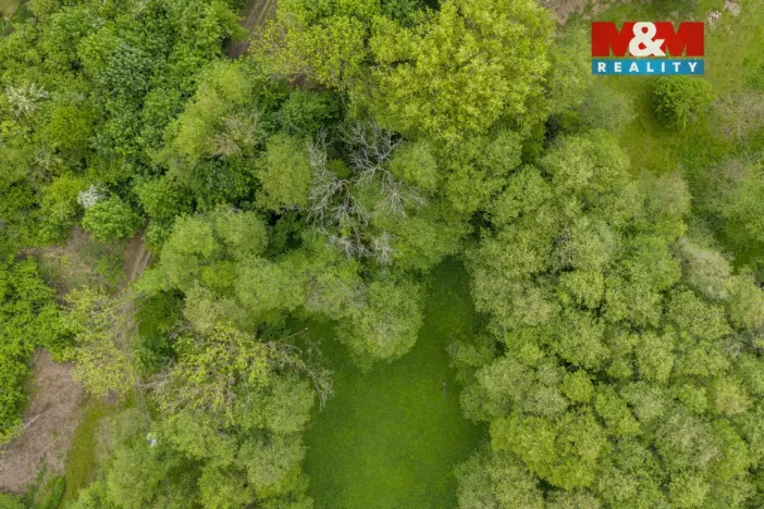 Prodej lesa, Červené Pečky - Bohouňovice I, 491 m2