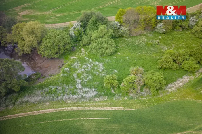 Prodej louky, Vlašim - Domašín, 1137 m2