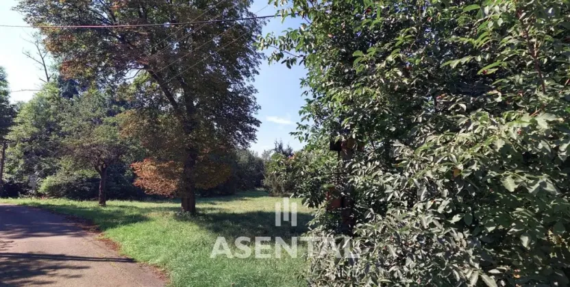 Prodej pozemku, Ostrava - Radvanice, Na Hrázkách, 12371 m2
