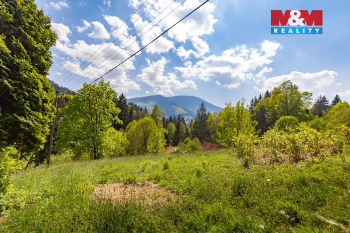 Prodej pozemku pro bydlení, Ostravice, 3902 m2