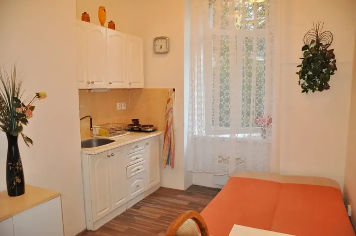 Pronájem bytu 1+kk, Brno, Ptašínského, 18 m2