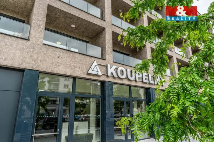 Prodej bytu 1+kk, Praha - Žižkov, Tetauerova, 33 m2