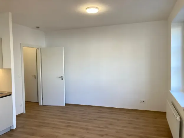 Pronájem bytu 1+kk, Praha - Žižkov, Na rovnosti, 32 m2