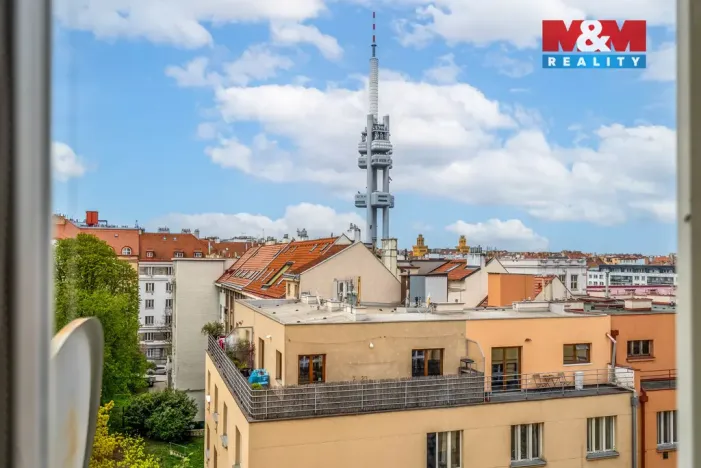 Prodej bytu 2+1, Praha - Žižkov, Baranova, 90 m2