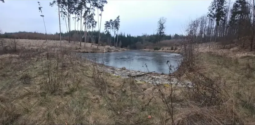 Pronájem rybníku, Hostim, 3504 m2