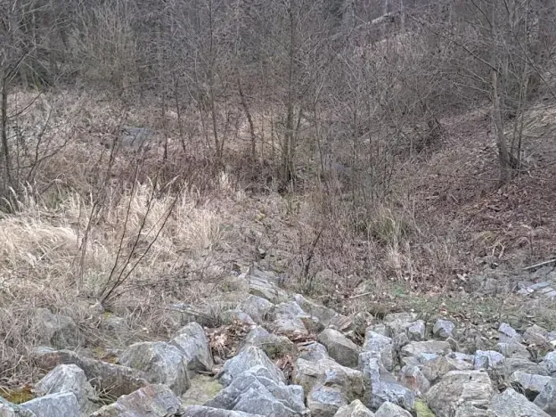 Pronájem rybníku, Hostim, 3504 m2