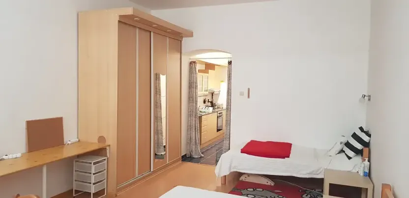 Pronájem bytu 1+1, Brno, Ptašínského, 40 m2