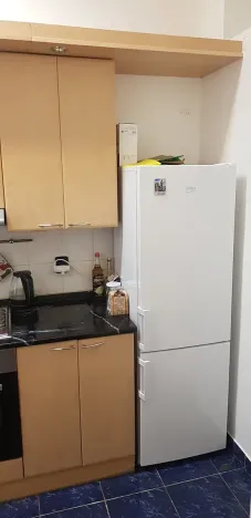 Pronájem bytu 1+1, Brno, Ptašínského, 40 m2