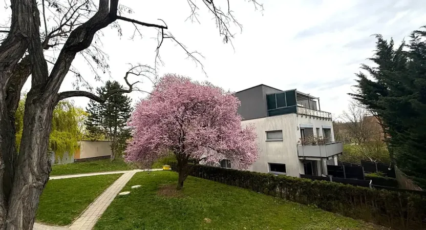 Pronájem bytu 3+1, Brno, Vrbenského, 64 m2