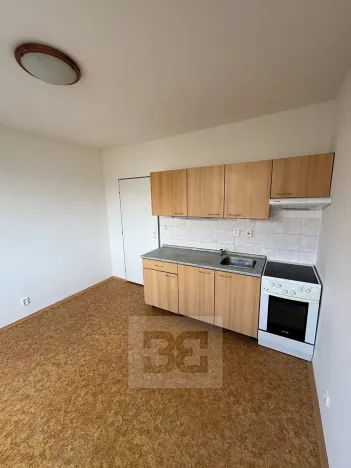 Pronájem bytu 1+kk, Písek, Za Pazdernou, 18 m2