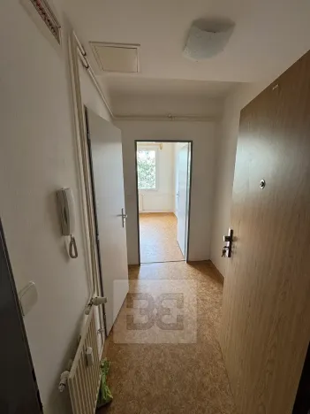 Pronájem bytu 1+kk, Písek, Za Pazdernou, 18 m2