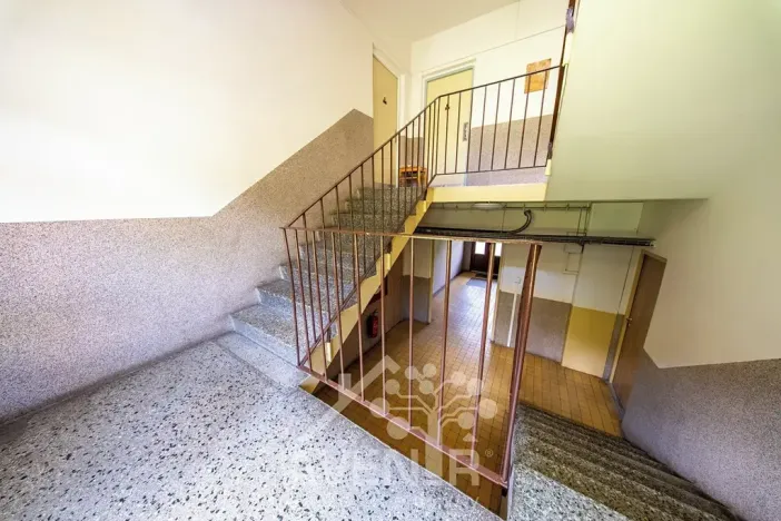 Prodej bytu 1+kk, Velké Hamry, 19 m2