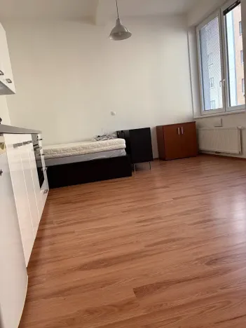 Pronájem bytu 1+kk, Praha - Nusle, Bartoškova, 36 m2