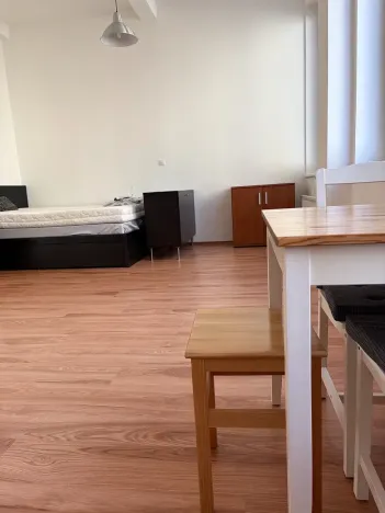 Pronájem bytu 1+kk, Praha - Nusle, Bartoškova, 36 m2