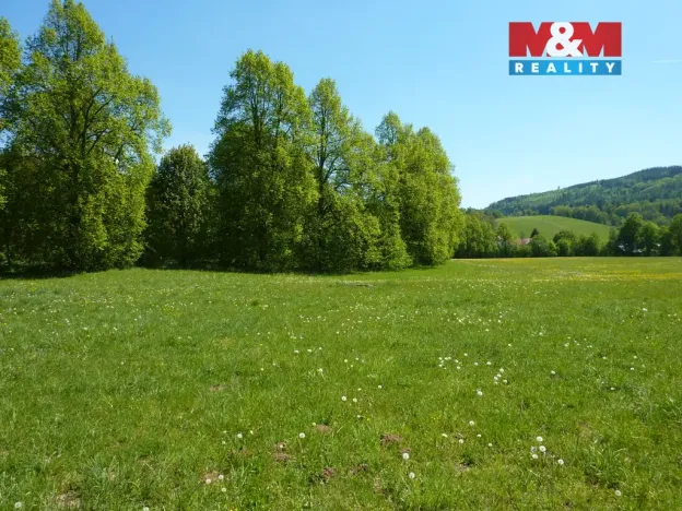 Prodej louky, Náchod - Běloves, 20495 m2