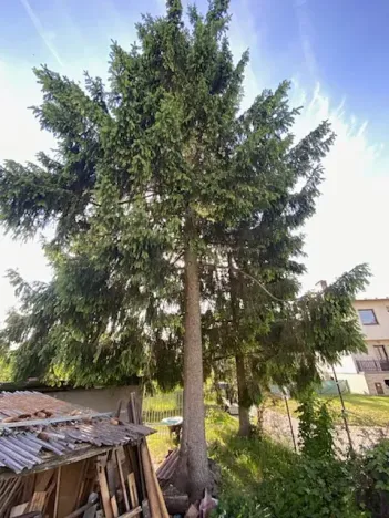 Prodej zahrady, Železnice, 621 m2