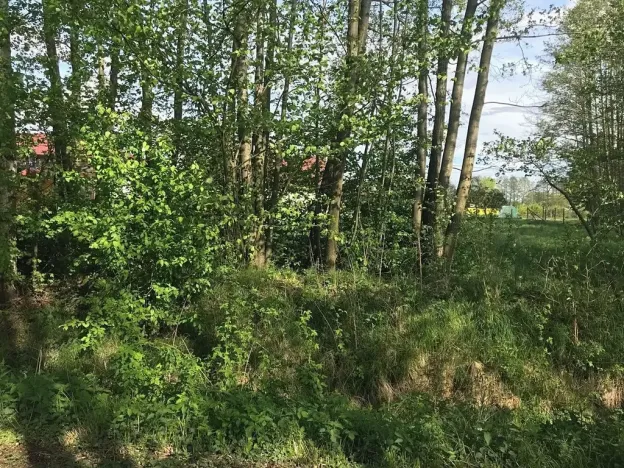 Prodej pozemku pro bydlení, Dobříkov, 1247 m2
