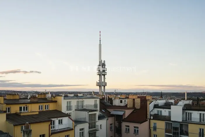 Prodej bytu 4+kk, Praha - Žižkov, Vinohradská, 139 m2
