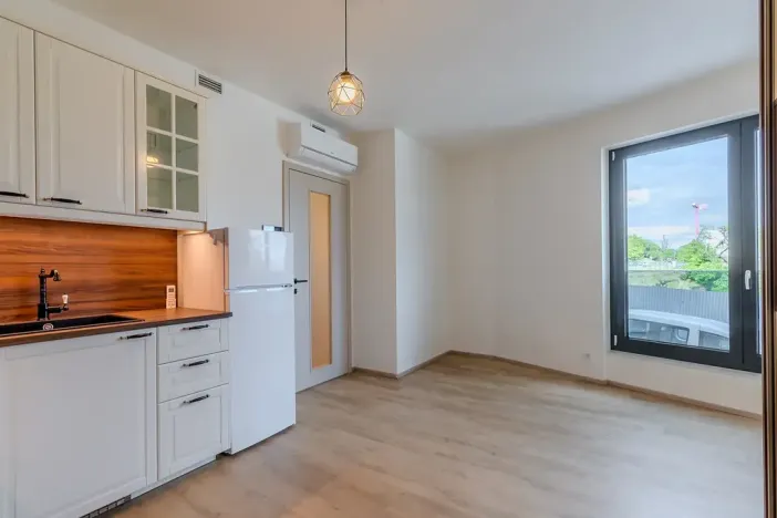 Pronájem bytu 1+kk, Praha - Žižkov, Malešická, 39 m2